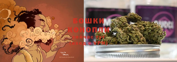 прущие грибы Волоколамск