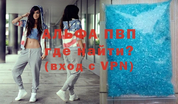 прущие грибы Волоколамск
