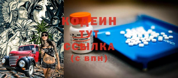 прущие грибы Волоколамск