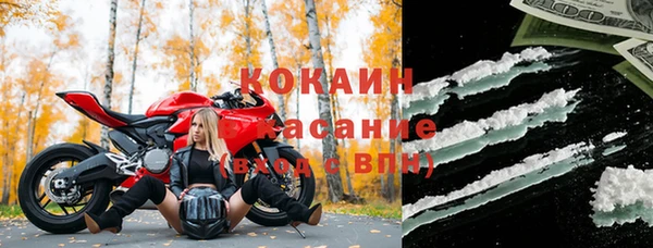 прущие грибы Волоколамск