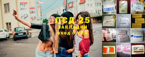 ГАЛЛЮЦИНОГЕННЫЕ ГРИБЫ Майский