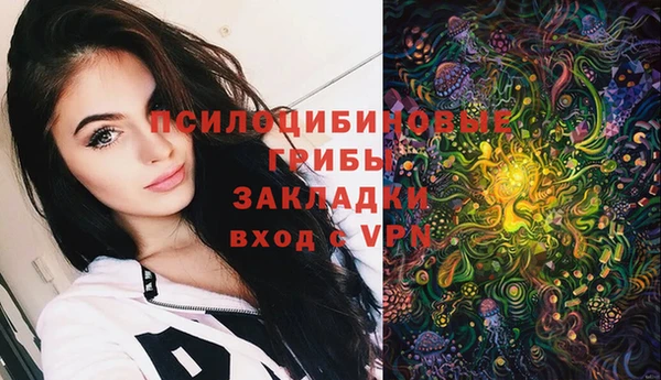 тгк Мегион