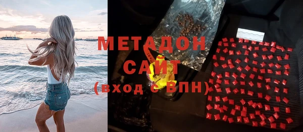 прущие грибы Волоколамск
