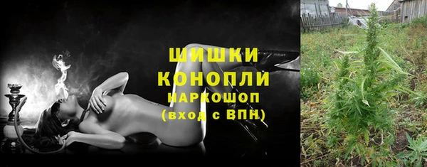 прущие грибы Волоколамск