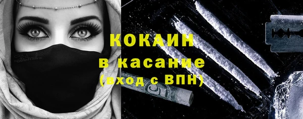 прущие грибы Волоколамск