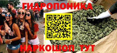 jwh Гусев