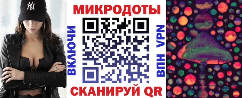 площадка клад Славянск-на-Кубани Галлюциногенные грибы прущие грибы