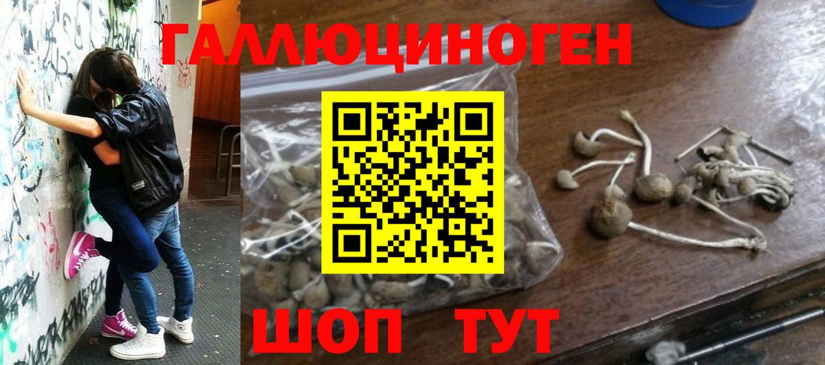 Славянск-на-Кубани  дарнет шоп  Вход с VPN  Галлюциногенные грибы мухоморы 